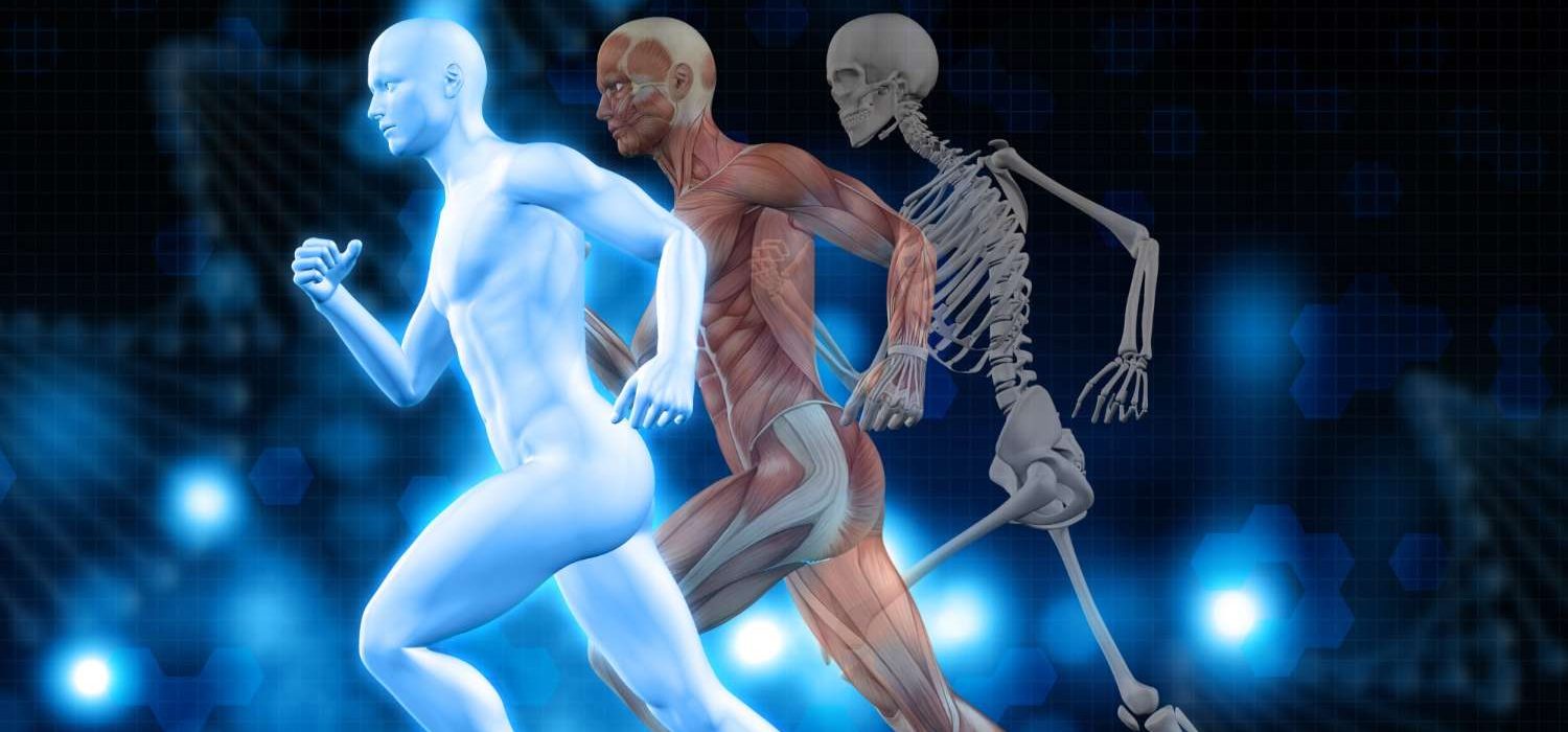 Il mito della postura ‘scorretta’: cosa ci insegna la biomeccanica Biomeccanica schiena